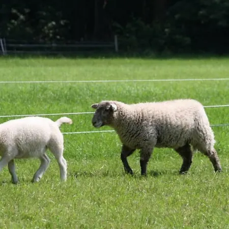 Landgoed Tongeren Epe