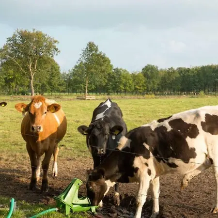 Landgoed Tongeren