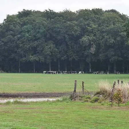 Lodge Landgoed Tongeren *